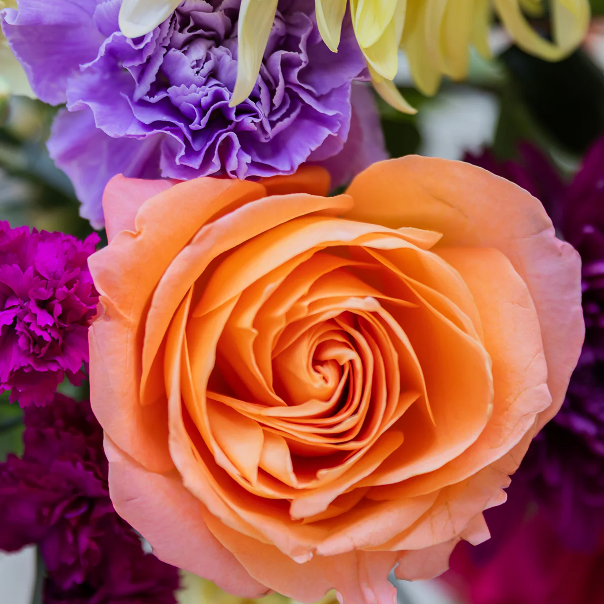 El Colorido - Ramo con flores amarillas - Image 7