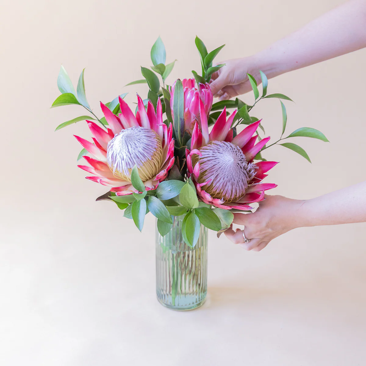 Las Proteas - Selección de proteas - Image 3