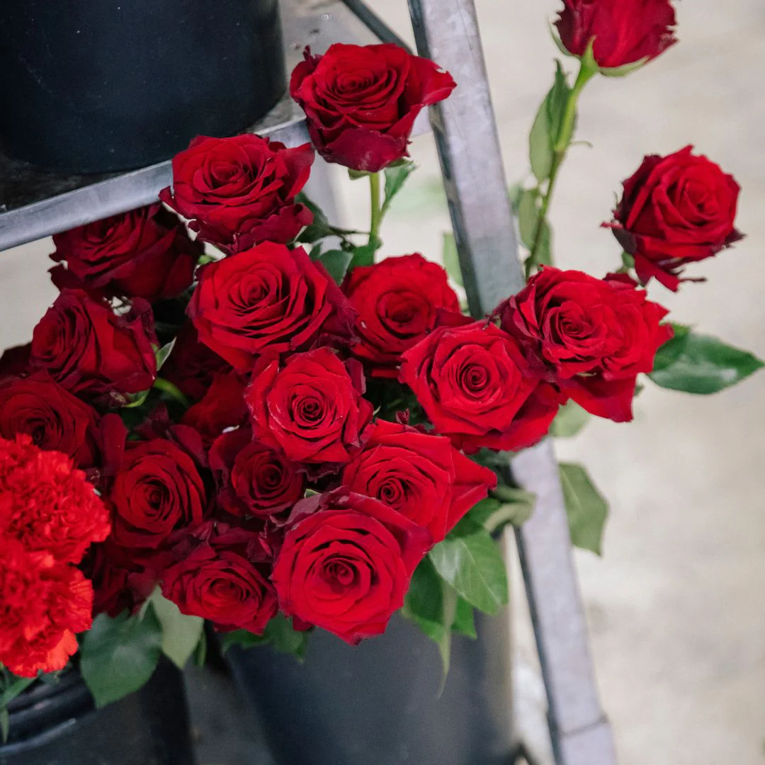 Las Rosas - Selección de rosas de colores - Image 4