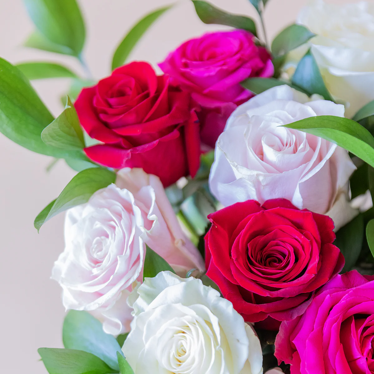 Las Rosas - Selección de rosas de colores - Image 8